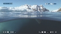 PHOQUE LEOPARD, ICEBERG