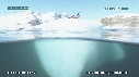 PHOQUE LEOPARD, ICEBERG