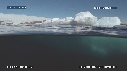 PHOQUE LEOPARD, ICEBERG