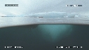 PHOQUE LEOPARD, ICEBERG