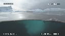 PHOQUE LEOPARD, ICEBERG