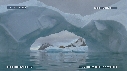 PHOQUE LEOPARD, ICEBERG