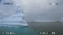 ICEBERG, PHOQUES CRABIER