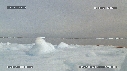 PHOQUE LEOPARD, ICEBERG