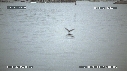 PETREL