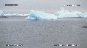 MANCHOTS PAPOUS, ICEBERG