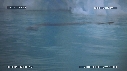 PHOQUE LEOPARD, ICEBERG