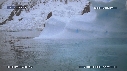 PHOQUE LEOPARD, ICEBERG