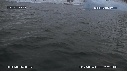 PHOQUE LEOPARD, ICEBERG