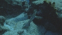 SOLE BLEUE