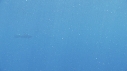 GLOBICEPHALES