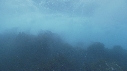 VAGUES