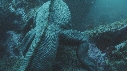 IGUANE