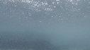 PLUIE, OTARIES