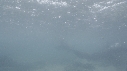 PLUIE, OTARIES