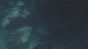 OTARIES