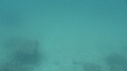 OTARIES, POISSONS