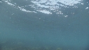OTARIES
