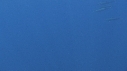 DAUPHINS SPINNER