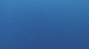 DAUPHINS SPINNER
