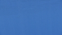 DAUPHINS SPINNER