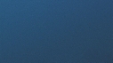 POISSON BLEU