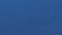 DAUPHINS SPINNER