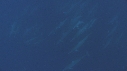 DAUPHINS SPINNER
