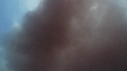 NUAGE DE SANG, POISSONS