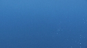 DAUPHINS SPINNER