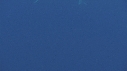 DAUPHINS SPINNER