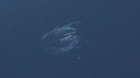 CHROMOPHORES
