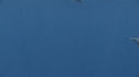 DAUPHINS SPINNER, BAIT BALL