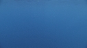 DAUPHINS SPINNER, BAIT BALL