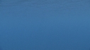 DAUPHINS SPINNER