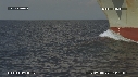 DAUPHINS, BATEAU