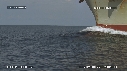 DAUPHINS, BATEAU