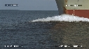 DAUPHINS, BATEAU