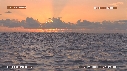 DAUPHINS SPINNER