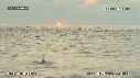 DAUPHINS SPINNER, FOUS