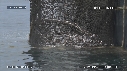 BATEAU DE PECHE, MARINERO