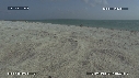 BEBES TORTUES VERTES, FREGATES