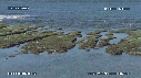 PAYSAGES, BEAUTYSHOTS