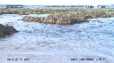 OTARIES, PISCINE