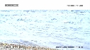 PAYSAGE, MER, OISEAUX, BEAUTYSHOTS