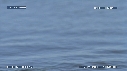 OTARIES, PISCINE