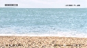 OTARIES