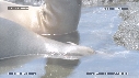 OTARIES, PISCINE
