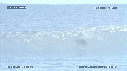 PELICAN, MER