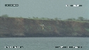 PELICAN